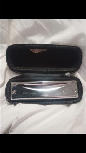 Suzuki Promaster Harmonica Key Of C