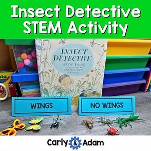 Kindergarten STEM Challenge Bug Sort, Bugs investigation, Insect Detective Book