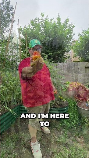 Gardening Tips From A Master Gardener