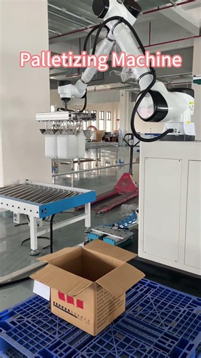 Palletizing Machine | Automatic Carton & Bag Palletizing Solution