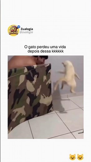 Surprised Cat 😂 | Cat vs PC & Snow Fight Cats 🐱❄️ #shorts #youtubeshorts #shortsfeed