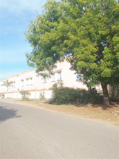 Discover the Beauty of Kilifi: A Hidden Gem in Kenya