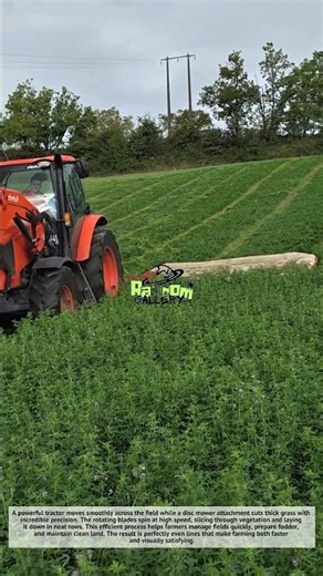 Amazing, Satisfying Grass Cutting Machine! Perfect Field Lines Every Time 🌿🚜