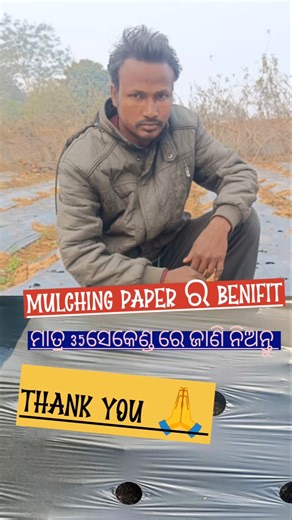 MULCHING PAPER KIPORI BICHHEIBE l BENEFIT OF MULCHING PAPER #Shorts #mulchingpaper #ViralReelsVideo