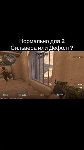 Normal for a Silver II or Default in CS2?