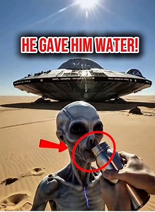 A giant alien is found wandering alone in the desert, weak, dehydrated, and desperately searching for his missing kids. 👽💔 A man recording the moment sees the alien struggling and decides to help. He approaches slowly and offers the giant alien a big bottle of water. The alien kneels down, drinks gratefully, and continues calling out for his children. This emotional and shocking moment shows a rare side of alien encounters — not dangerous, but vulnerable and heartbreaking. Watch what happens n