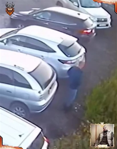 Direct encounters with animals and unexpected reactions 😱 | ViKing