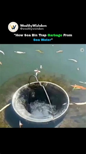Wealth | Finance | Tech on Instagram: "The SeaBin is a smart floating trash collector placed in marinas and ports. It pumps surface water into a catch bag, trapping plastic, bottles, bags, and even microplastics as small as 2mm, while returning clean water back to the sea. Working 24/7, SeaBins keep our waters cleaner and safer for marine life—innovation in action! Like this content? Then Follow:@wealthywishdom Media: unknown (DM FOR CREDIT OR REMOVAL) #SeaBin #OceanCleanup #PlasticPollution #Ma