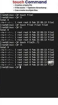 touch Command in Linux Explained | Create & Update Files Easily #linux #shorts