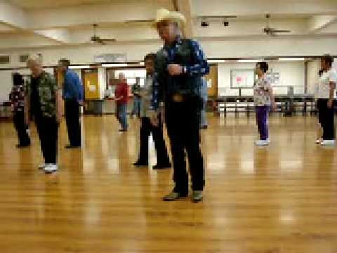 Stray Cat Strut ( Linedance ) Walkthrough