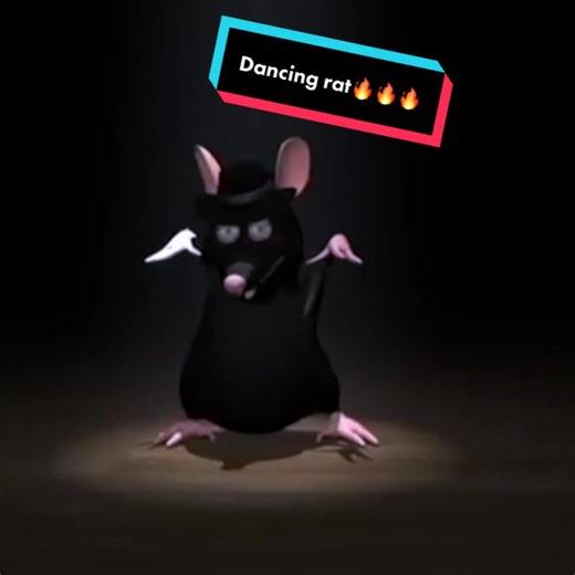 Dancing Rat Meme Compilation