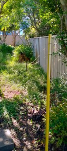 How to improve drainage?