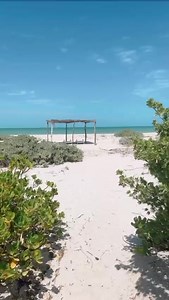 2.4K views · 98 reactions | Bienvenidos al paraíso...Sisal Yucatán México  | La conchita de Sisal | Facebook