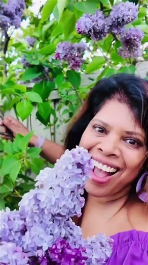 🌸 “A little moment of joy with my lilacs 💜