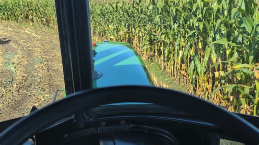 83K views · 1.7K reactions | For the first time since 2008, I'm chopping corn silage! Probably the first time for Clifford too | Ryan Patrick Kelly | Facebook