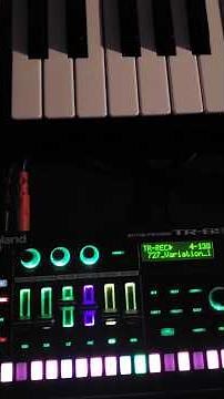Roland TR-6S and Roland JU-06a