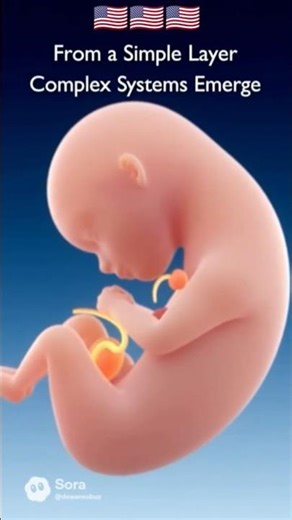 🇺🇸Video 7: Endoderm Derivatives 🇺🇸 #usa #usashorts #trending #embryology