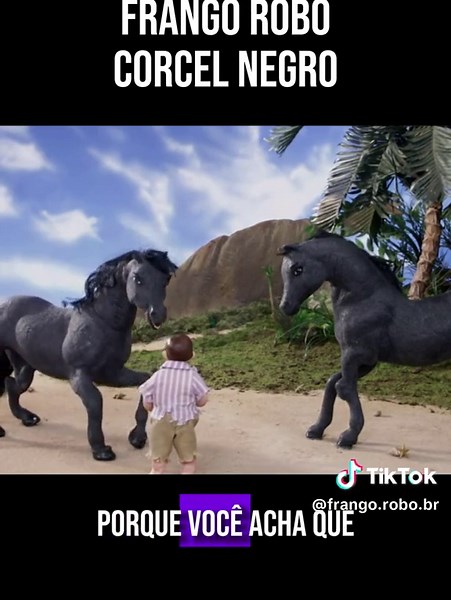 Corcel Negro Frango Robô