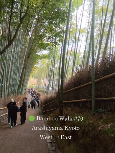 Bamboo Walk in Arashiyama: Experience Real Kyoto
