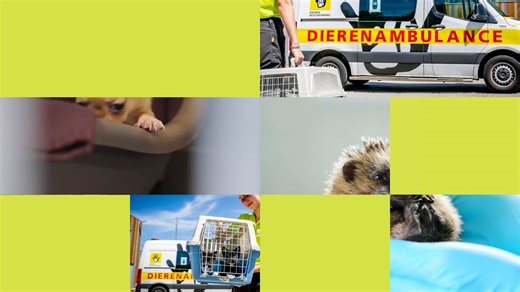 DIERENBESCHERMING_16x9_15sec