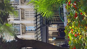 Monaco, Monte-Carlo, 30 September 2022: the Hotel Hermitage through Flowers at Sunny Day, Luxury Life, Building Exterior Stock Footage - Video of road, tourist: 302565754