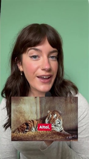 Tiger King's Carole Baskin Speaks Out After Tragic Yorkshire Zoo Incident: "Wild Cats Belong In T...