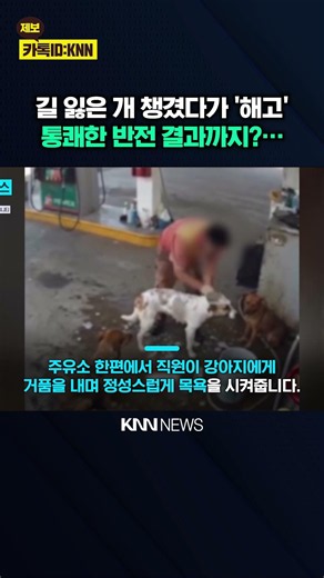 "Fired for washing a stray dog?" Outraged public finally takes action / KNN