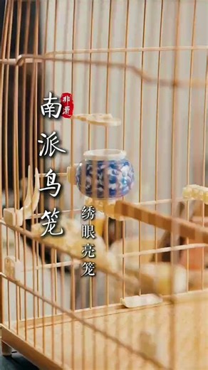 Building bird cage by bamboo