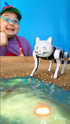 Remote control cat and ROBOT 🤖 #builderc