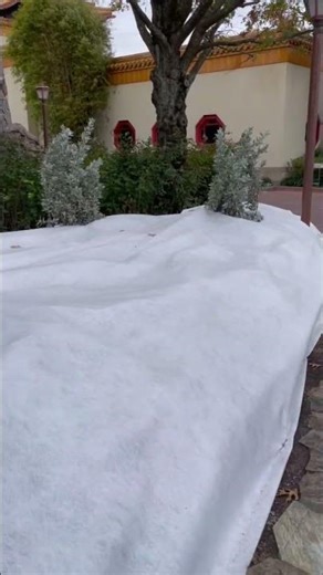Epcot Prepares for Freezing Temps Tomorrow! #disney