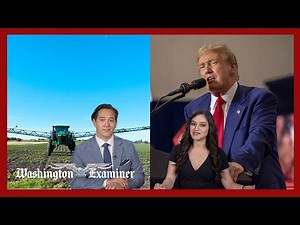 Will Trump’s $50 billion farm bailout backfire?