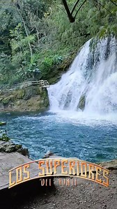 Cheque Al Portador 🪗🎸🎼 #chequealportador #lossuperioresdelnorteoficial #lossuperioresdelnorte #SDN #fblifestyle #viralreelsシ #fbreelsfypシ゚ #seguidores | Los Superiores Del Norte