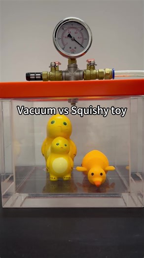 Squishy toy vs Vacuum, what’s next?