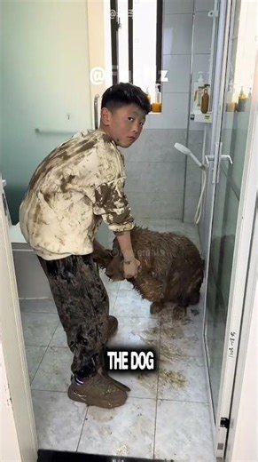 He Came Home Looking Like A Mud Monster… What His Owner Did Next Is Incredible 😱🐾