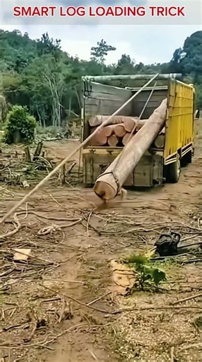 Brilliant Manual Log Loading Trick Using Levers & Rope.
