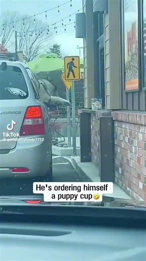 The Schoo❌️ (@the_schoo)’s videos with original sound - The Schoo❌️