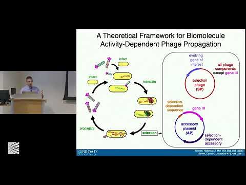 Scientist Stories: Ahmed Badran, Chang Liu Lab on Continuous Directed Evolution In Vivo