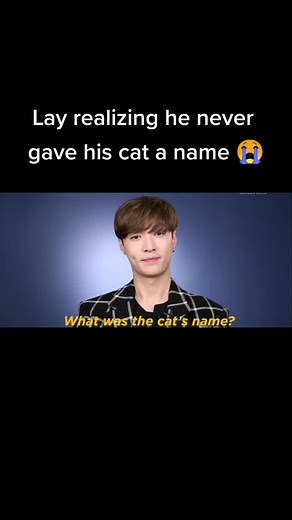 "hey cat, come here" 💀 #kpop #kpoper #kpopfyp #exo #exol #lay #yixing... | Exo
