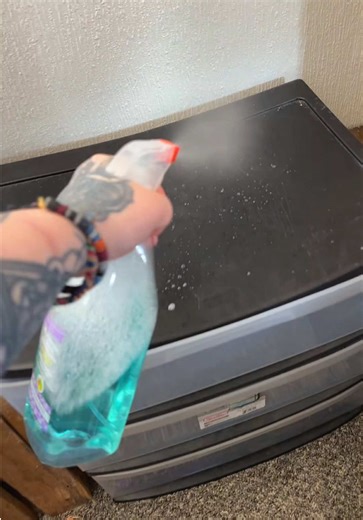 Spring Cleaning Organization Ideas for Your Home