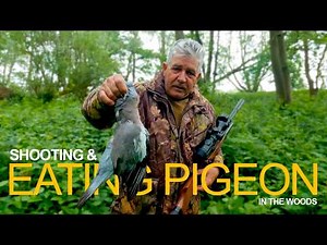 Shooting & Cooking Pigeons No. 2 #eatinggame #bsaairrifle #hunting