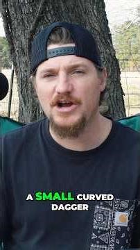 The Sicarri explained 😳😳 #romanempire #ancienthistory #history #rome