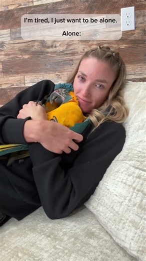 I’m tired 🥱 #parrot #birds #macaw