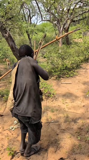 Unbelievable Traditional Archery Skills – Perfect Aim in the Wilderness! #africa #viral #trending