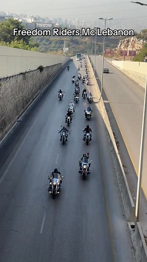 Freedom Riders on Reels