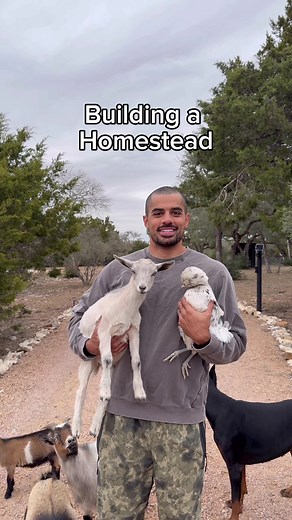 Creating a Flourishing Homestead with Microsoft Edge