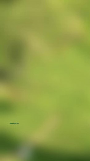 15 reactions | “Monitor Lizard 年 | Raw jungle power. Wild, fearless, and impossible to ignore.” #MonitorLizard #WildlifeReel #KomodoVibes #ReptileWorld #AnimalLover #NatureShorts #trendingreelsvideo | Bishwajit Dassx | Facebook