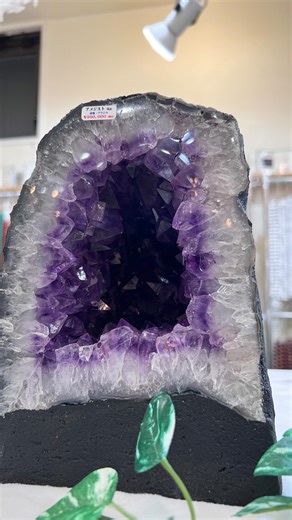 スリーエイト★スタッフ on Instagram: "開運アイテムといえばっ‼️ 🔻1月8日(木)朝10:30からのライブ配信にて、《アメジスト》のドームが登場です‼️ 今回ご紹介するのは、結晶も大きくダイナミックな【ブラジル産🇧🇷】のアメジストドーム💜 玄関に置くことで良い運気を引っ張り込んでくれるのは、あまりにも有名ですね😍 2026年いいスタートを切りたい方にもオススメです🖐️ ご参加お待ちしております😍 しゃちょーのアカウント @three_eight_38 新着情報最速‼️フォロー推奨でっす(((o(*ﾟ▽ﾟ*)o))) スリーエイトスタッフ G10(ゴト)でした💂‍♀️"