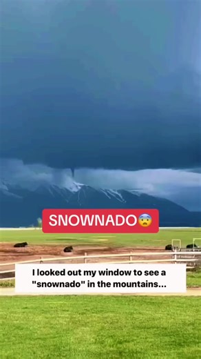 26 reactions · 11 shares | A pole shift is underway, all the signs are becoming evident. Feels like it at least, in my gut. Hope you know how to be a survivalist, it will be needed in our life time it seems. | Michael Smith | Facebook