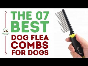 The Best Flea Combs for Dogs