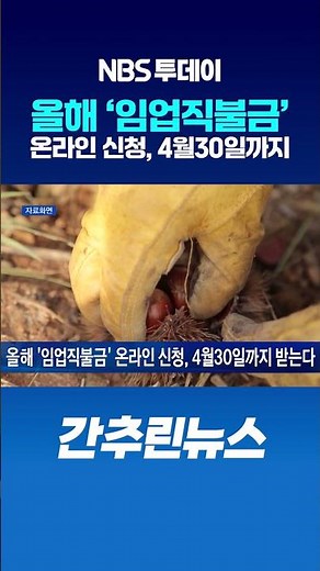 올해 ‘임업직불금’ 온라인 신청, 4월30일까지 받는다